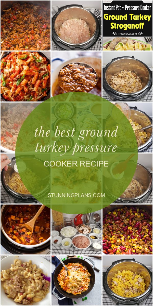 The Best Ground Turkey Pressure Cooker Recipe Home, Family, Style and